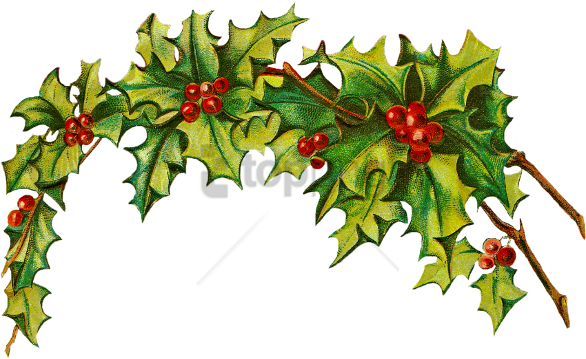 Free Png Download Christmas Border Vintage Png Images - Vintage Christmas Clipart Borders (850x522)