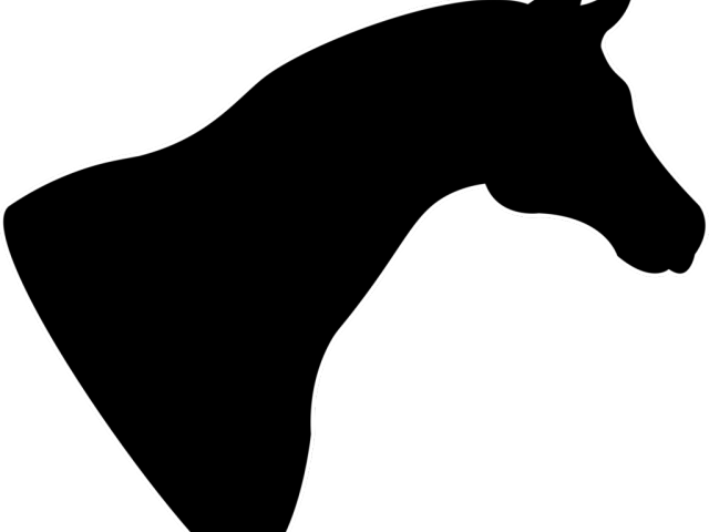 Horse Racing Clipart Dust Trail - Horse Head Silhouette Png (640x480)