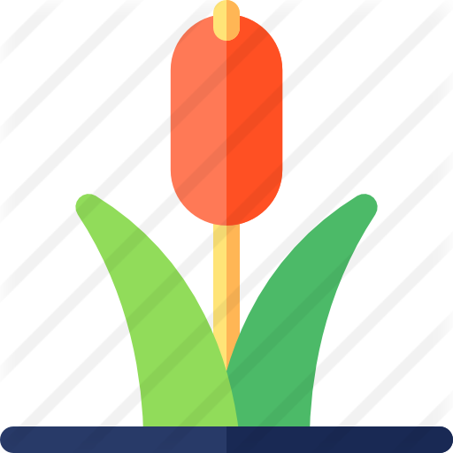 Cattail Free Icon - Cattail Free Icon (512x512)