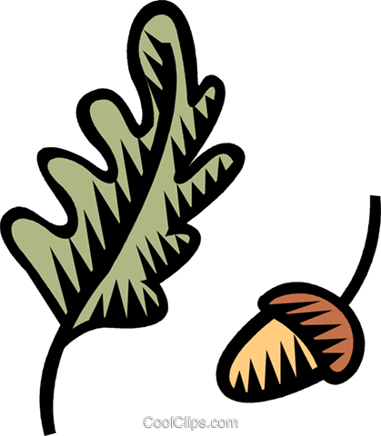 Acorn With Oak Leaf - Oak Leaf (419x480)