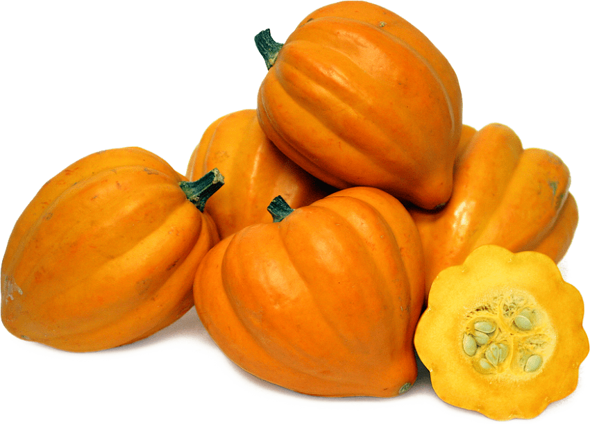 Squash Clipart Vegatable - Golden Acorn Squash (850x611)