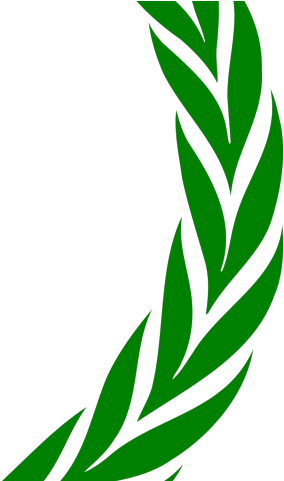 Green Leaves Clipart Laurel - 22 Laurel Wreath Clip Art (640x480)