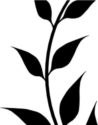 Vines Clipart Laurel - San Josef National High School (640x480)