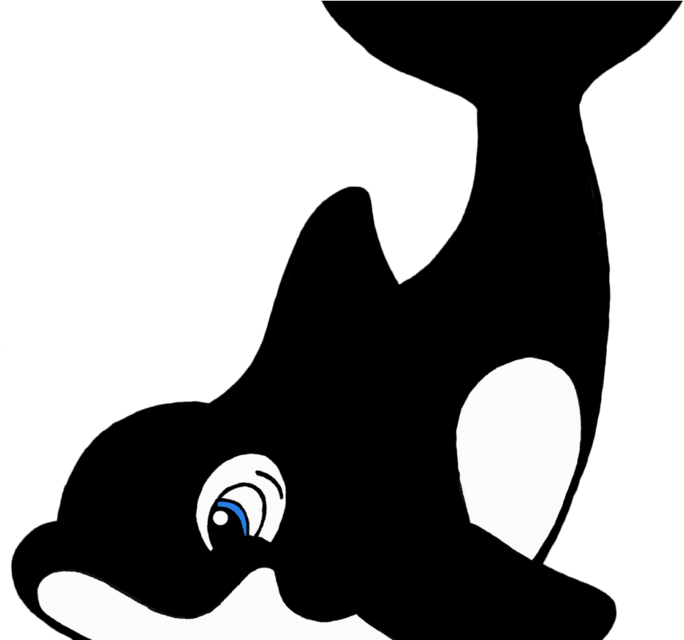 Killer Whale Cetacea Humpback Shamu Great White Shark - Cartoon Killer Whale (1024x900)