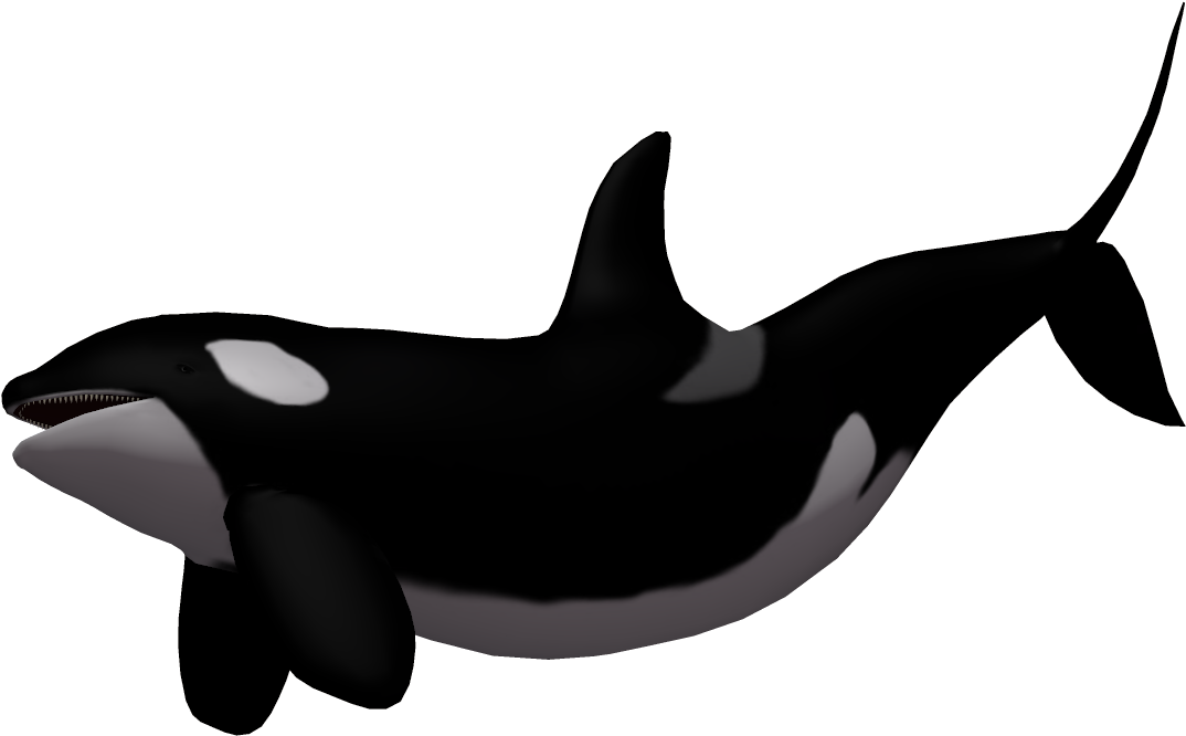 Killer Whale Clipart Baby - Killer Whale Transparent Background (1200x749)