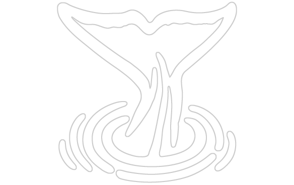 Drawn Whale Whale Tale - Black And White Whale Tale (584x368)