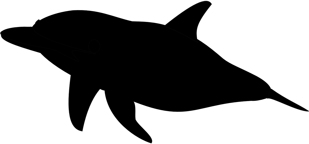 Killer Whale Clipart Silhouette - Dolphin Silhouette No Background (1280x640)