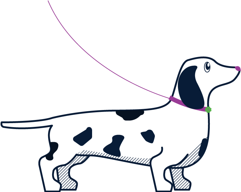 Dog Sitter, Dog Sitting, Dog Walking Clipart , Png - Scent Hound (772x616)