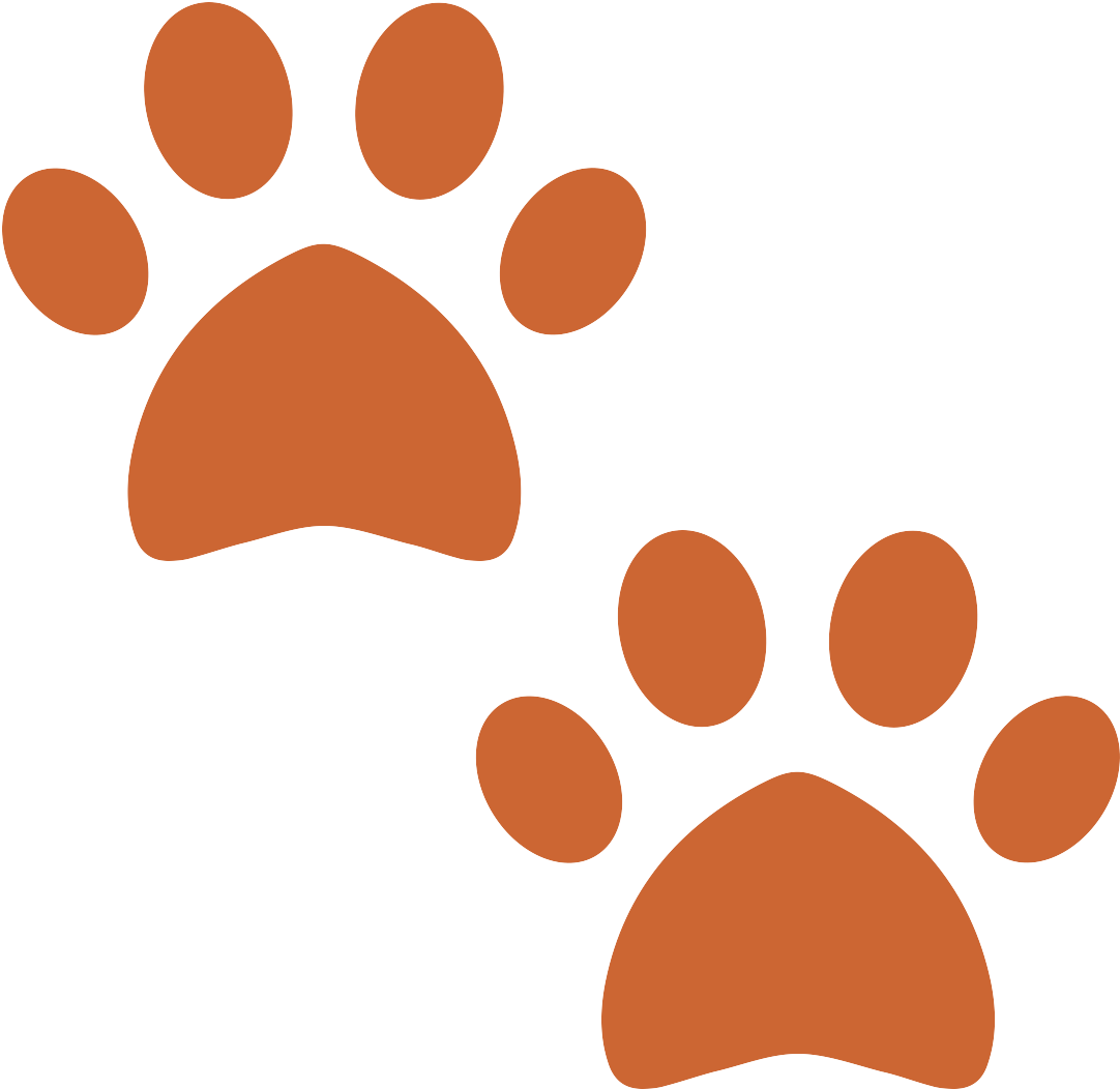 $32 - Dog Paw Heart Shape (1200x1200)