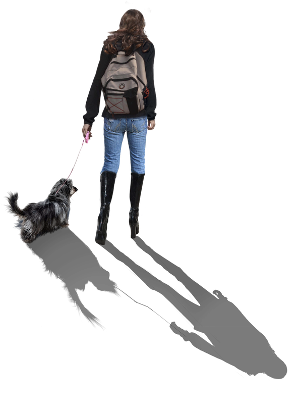 879 X 909 1 0 - Companion Dog (879x909)