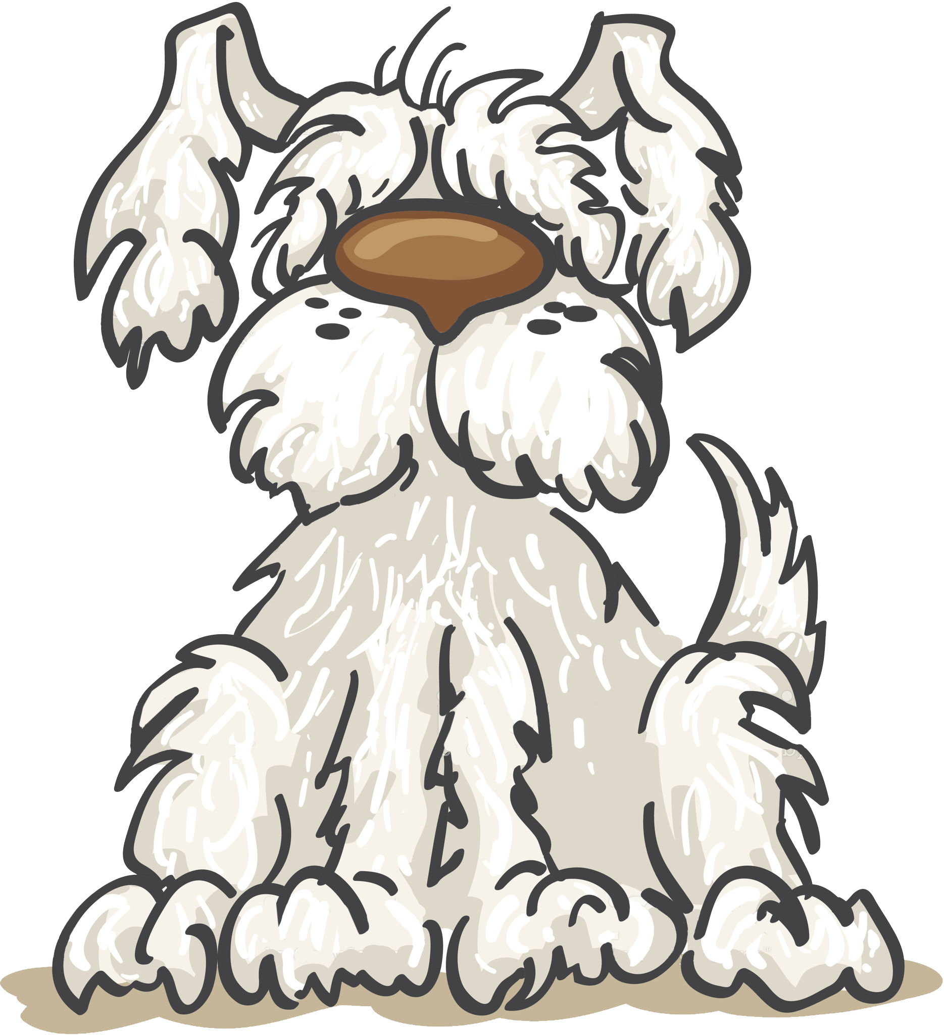 Experienced Professional Dog Walker - Clip Art Shaggy Dog (1869x2048)