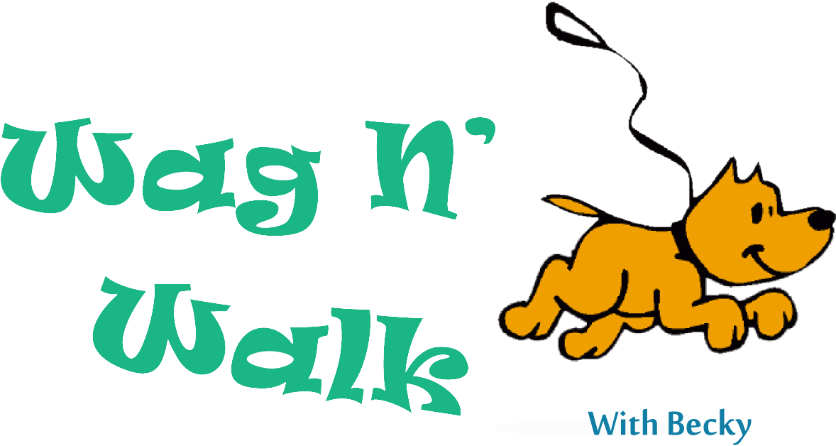 60 Minute Dog Walk / Visit / Check Up - 60 Minute Dog Walk / Visit / Check Up (1200x639)