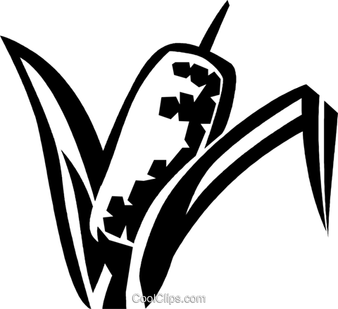 Bulrush Royalty Free Vector Clip Art Illustration - Bulrush Royalty Free Vector Clip Art Illustration (480x439)