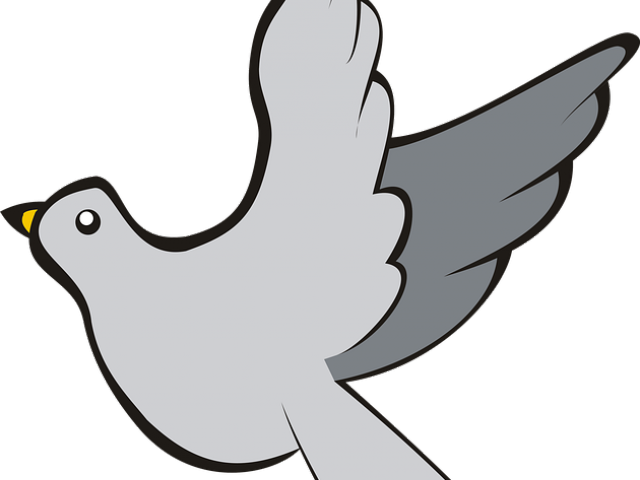 Pigeon Clipart In Flight - Pigeon Clipart In Flight (640x480)