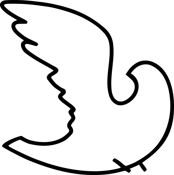 Dove Pigeon Peace - Dove Icon Png White (714x720)