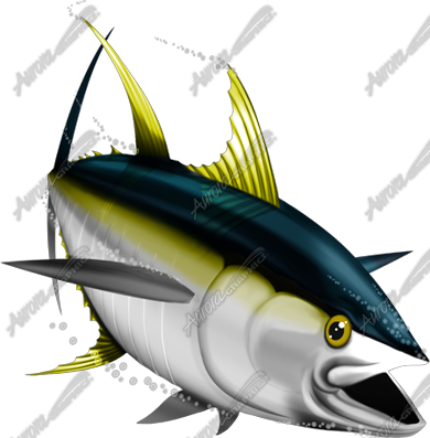 Yellowfin Tuna Drawing Wwwpixsharkcom Images - Yellow Fin Tuna Svg (390x397)