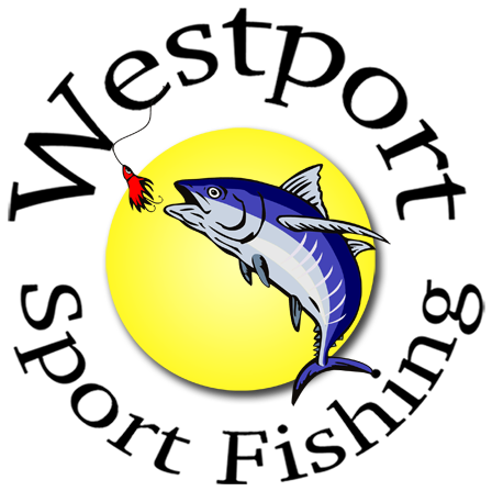 Picture - Great White Shark (463x457)