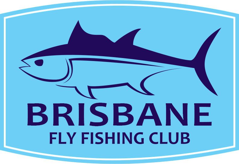 Brisbane Fly Fishing Club Inc - Great White Shark (793x546)
