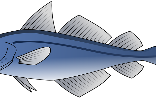 Tuna Clipart Tuna Food - Cod Clip Art (640x480)