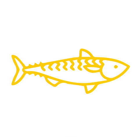 Martabak Mini Tuna - Clip Art Tuna Black And White (482x474)