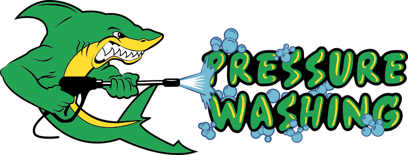 Pressure Washing Services - Pressure Washing Services (821x312)