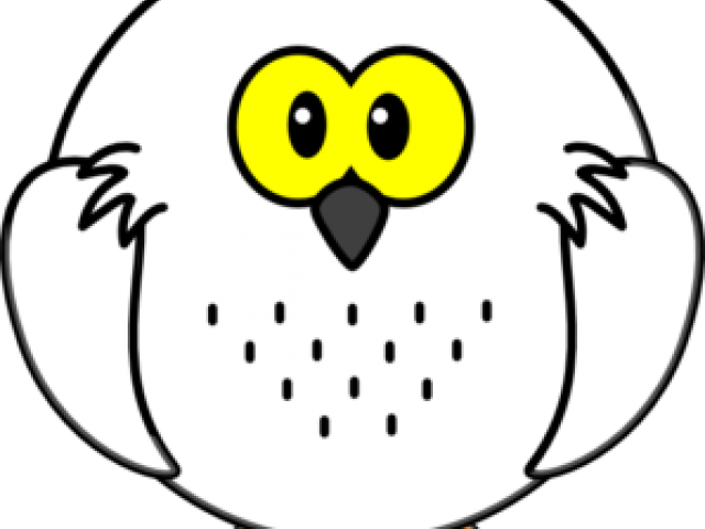 Snowy Owl Clipart Branch - Cartoon Owl (640x480)