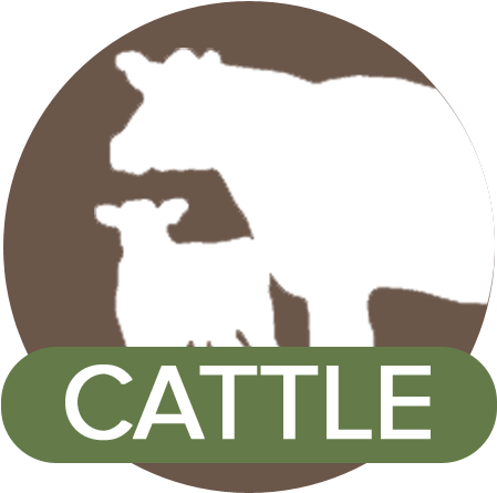 Pet Health Library - Carnelli Inmobiliaria (471x458)