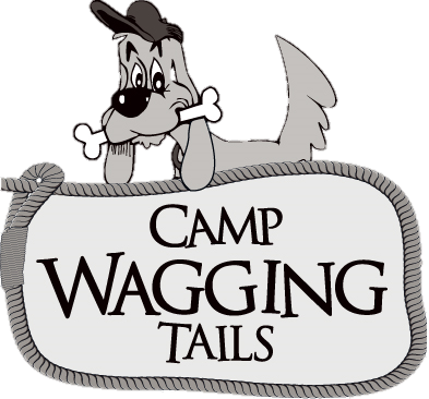 We're Selling Sam's Xpress Car Wash Tickets For A Fundraiser - We're Selling Sam's Xpress Car Wash Tickets For A Fundraiser (393x366)