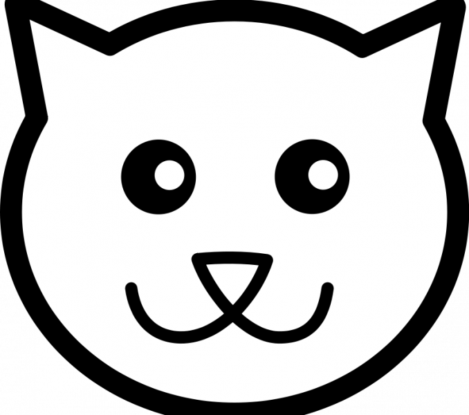 Cat Face Coloring Cat Face Drawing Cartoon At Getdrawings - Cat Face Clipart Black And White (678x600)