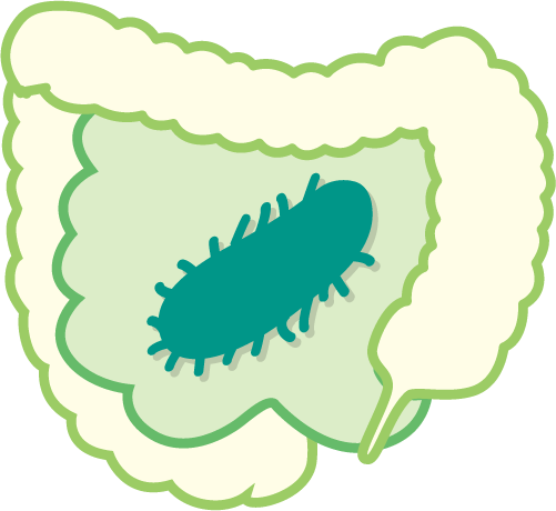 Identification Of Ruminococcus Sp - Illustration (501x460)
