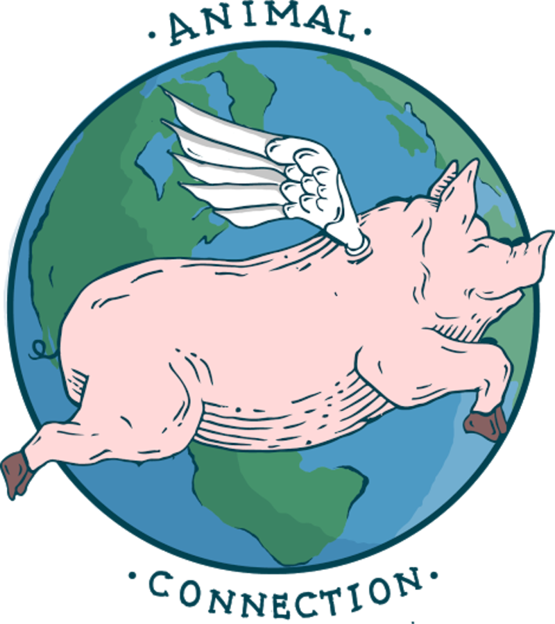 Buy Tickets For Tamerlaine Sanctuary Bus Trip At Tamerlaine - Buy Tickets For Tamerlaine Sanctuary Bus Trip At Tamerlaine (800x899)