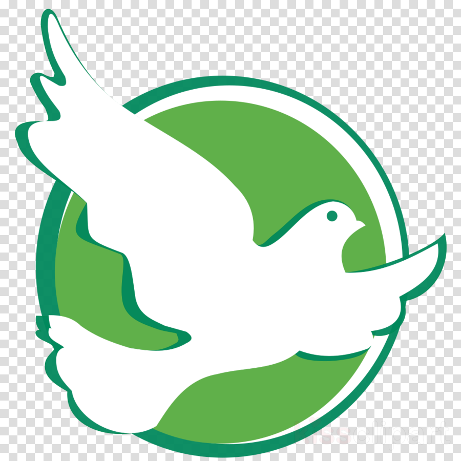 Check Mark And Cross (900x900)