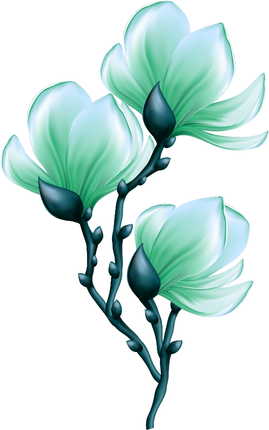 Mq Sticker - Flower Bloom Clipart Png (1024x1024)