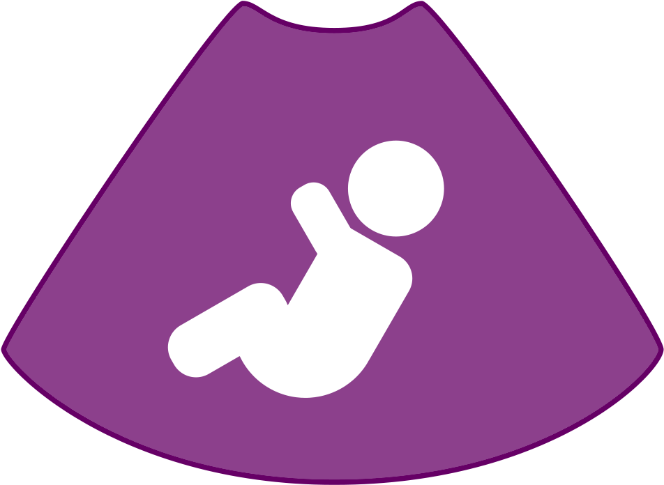 Obstetrics - Obstetrics Clipart (1000x763)