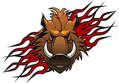 Wild Boar Cartoon (400x400)