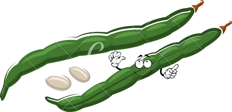 800 X 386 1 - Green Bean (800x386)