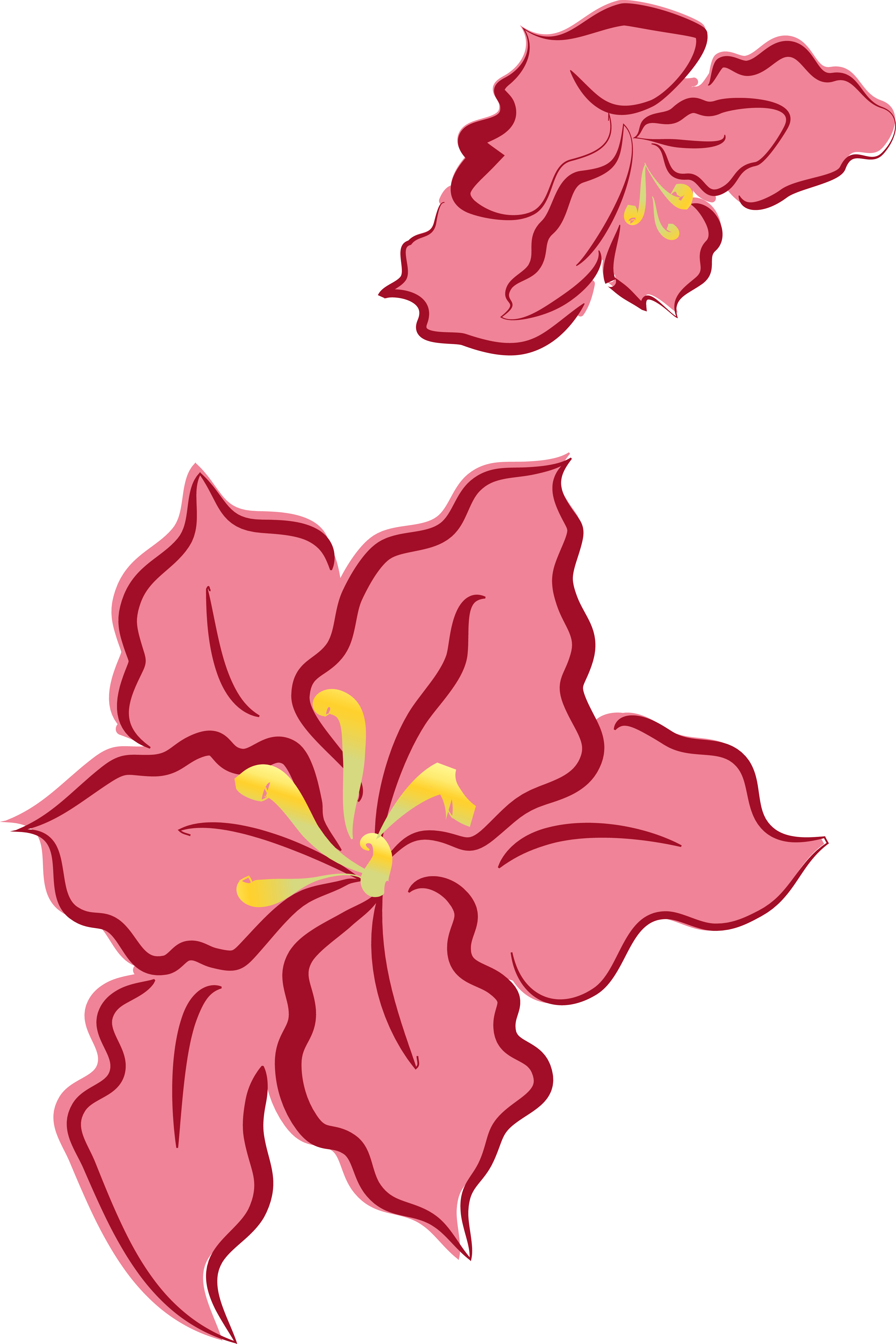 Flowers Color Clipart Leave Outline - Christmas Decoration Flower Cliparts (3737x5602)