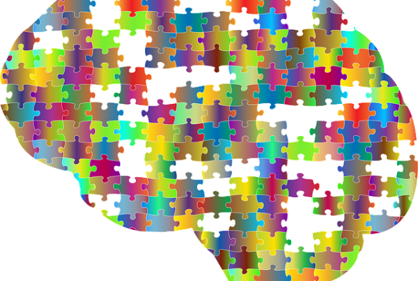 Allied Health Support Services Puzzle Brain Image - Broken Brain (600x403)