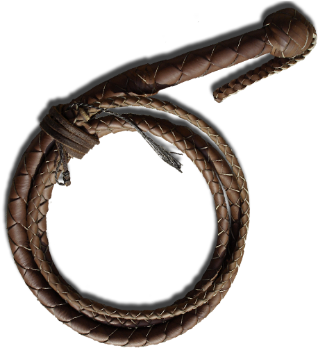 Picture Freeuse Download Indiana Jones Png For Free - Indiana Jones Whip Png (512x512)