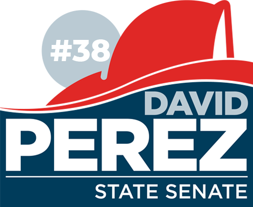 David Perez For Senate - David Perez Florida Senate (500x410)