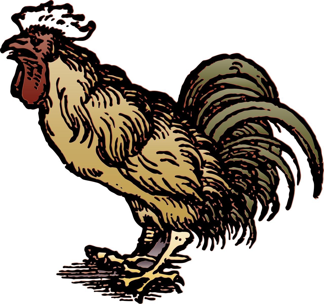 Grade Stem Lab Extra Of A And Ⓒ - Rooster Woodcut (1280x1200)