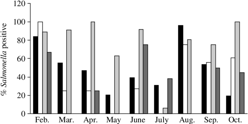 Salmonella Prevalence In Faecal (&), Soil ( - Skyline (850x431)