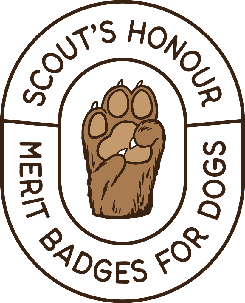 Badges Clipart Honour - Beach Ball Coloring Pages (822x1016)