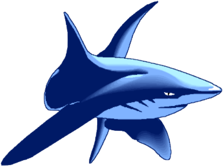 Civil Air Patrol Homestead Afb Cadet Squadron - Mako Shark Logo (458x345)