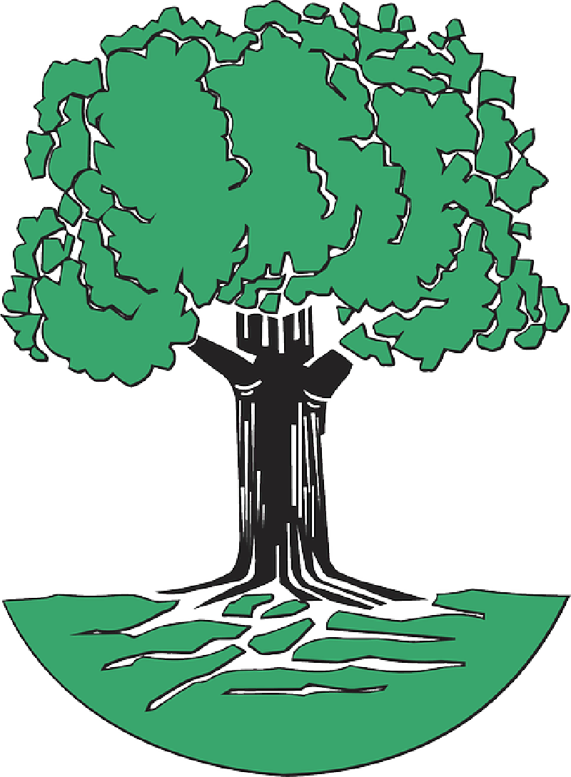 Tree With Roots Clip Art Free - Oak Tree Clipart Draw (800x1089)