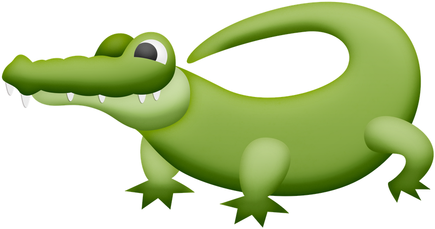 Say Hello - American Crocodile (900x475)