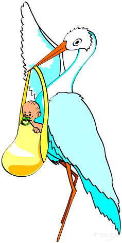 Stork With Baby - Illustration (254x479)