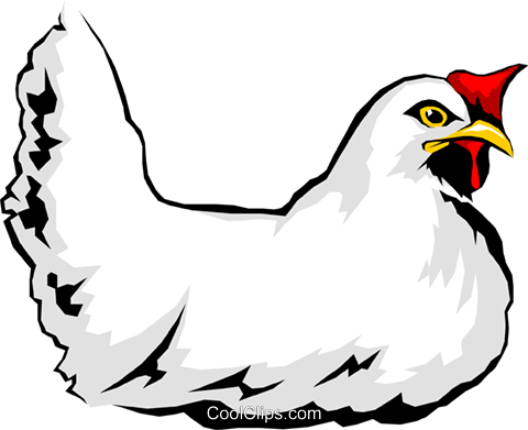 Chicken Royalty Free Vector Clip Art Illustration - Rooster (480x391)