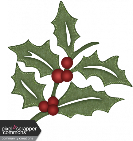 Holly Graphic By Rose Thorn - American Holly (456x456)