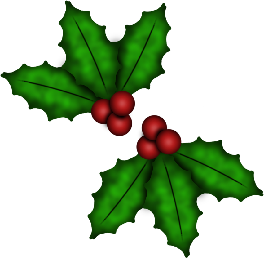 Holly Berries Png - Hojas De Parra De Navidad (894x894)